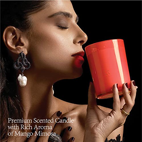 Esna Home Luxury Highly Scented Soy Candle | Natural Lavender Essential Oils Aromatherapy Candles For Relaxation | Unique Gifts For Women | Living Room Decor | 8.8Oz 50 Hours Long Lasting Clean Burn #TOP4