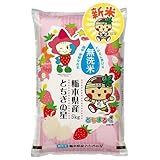 農業生産法人ワタナベ 【新米】 令和7年 無洗米 5kg お米 【 大粒 で冷めても美味しい 甘み旨み粒しっかり 】 栃木県 新ブランド とちぎの星 米 おこめ/ 5kg×1袋