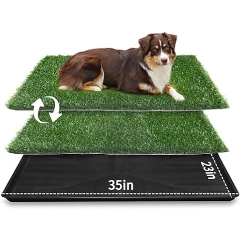 LOOBANI 35x23in Large Dog Grass Potty Tray - Dog Litter Box with 2 Pack Replacement Artificial Grass Puppy Training Pads, Quickly Absorbency Portable Dog Patio Potty for Balcony Apartment Use Cover