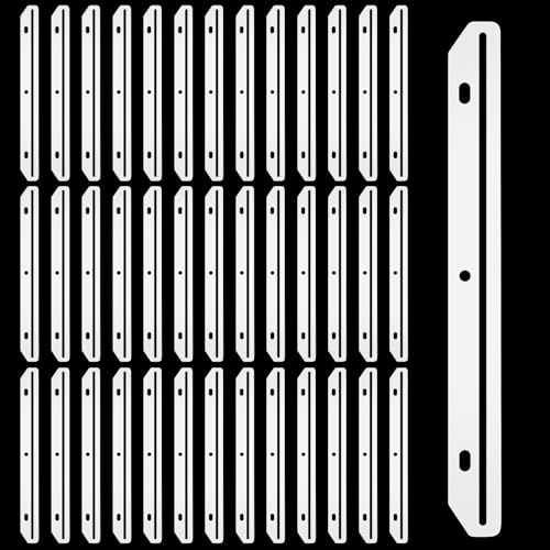 FdcLixuvol 40 Pcs 3 Hole Punched Magazine Holders, Magazine Binder Magazine Organizer 3 Ring Binder Insert Strips for Magazine Storage Craft Paper File Book, Translucent White