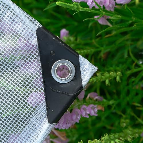 hV[g hwr[f[eB[ pObh^[v ACbgt 3.0m 3.5m 4.0m 4.5m 5m 5.5m 6m 6.5m ƒ؉AOALvALop^[|Jo[(,4x6m)