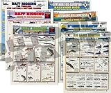 Tightlines Publications Bait Rigging Chart Set - Waterproof Quick Reference Fishing Guide - (Freshwater, Saltwater, and Big Game Rigs) - Double-Sided & Easy to Read - Great Gift for Beginners
