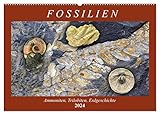 QUALITÄT - Hochwertiger Fotokalender mit 12 wunderschönen Motiven auf lichtbeständigem Bilderdruckpapier, robuste Spiralbindung mit Aufhängebügel.