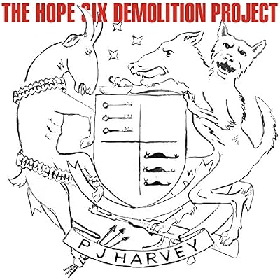 Hope Six Demolition Project