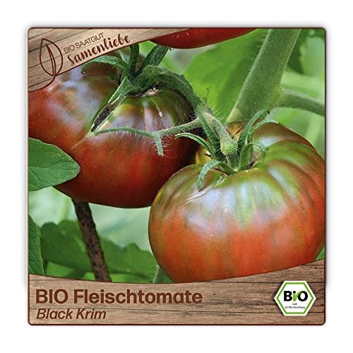 BIO-Tomatensamen Black Krim – Süß-aromatische Fleischtomate, 1 Portion Für Ca. 15 Pflanzen