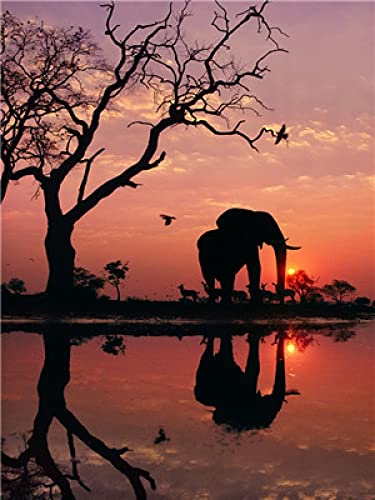 Peinture au diamant 5D éléphants au coucher du soleil kit broderie strass 30x40 cm