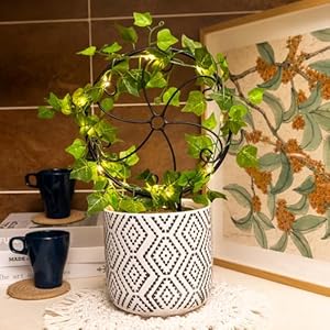 2 pcs 14in indoor metal garden circle plant trellis for houseplant climbing pot plants black style a  urban country home decor