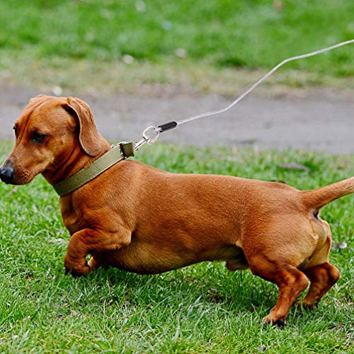 Corda de aço para cães BESPORTBLE, corda de fio de aço resistente à prova de mastigação, cabo de seg