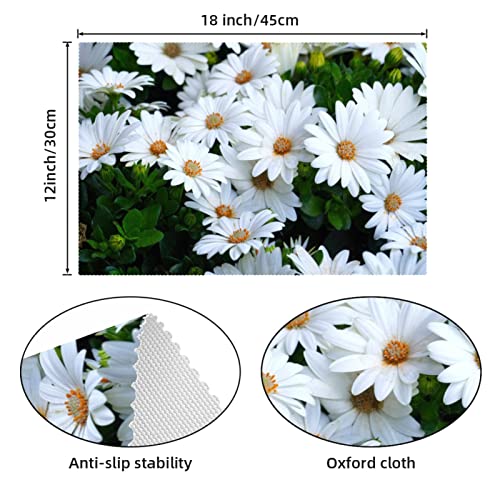Set de table tissu Oxford lavable résistant chaleur motif fleurs blanches lot de 4