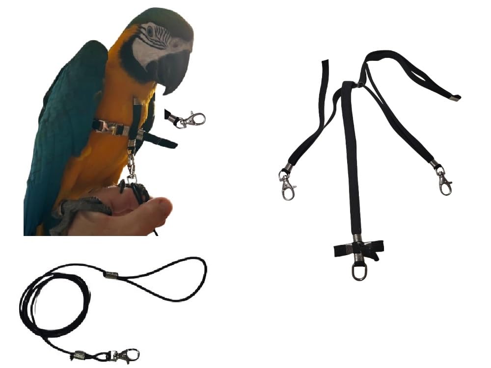 Adjustable Parrot Harness, 10 mm, Black Neck, Coloured Bands, 2 Hooks Metal Leash 3 mm 1 m (Black Neck Black Bands) - Image 2