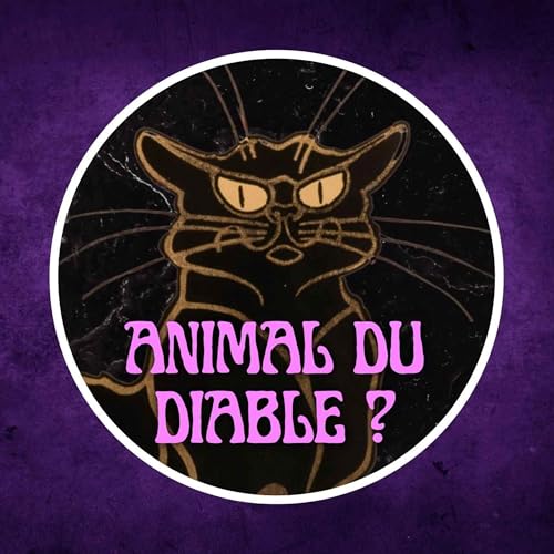 Le chat noir, cr&eacute;ature d&eacute;moniaque ? 🐈&zwj;⬛