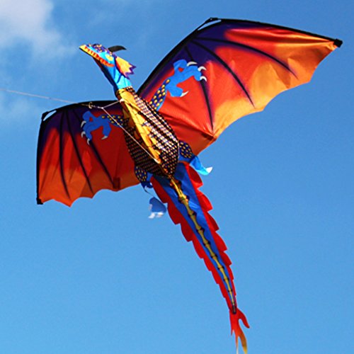 Mejores review On-line Cometa dragón al mejor precio. 36 Imagen adicional