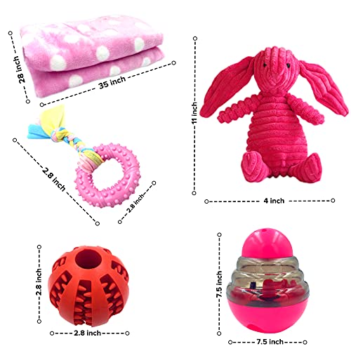 SoSoCute Pinke Hunde-Geschenkbox – Kauspielzeug für Welpen, Set mit 5 Stück – Welpenpflege-Paket mit Hundedecke, Gummi-Beißring, Ball zum Beißen und Leckerli-Ball für kleine und mittelgroße Hunde