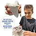 Sunken Hunter Megalodon Shark Tooth Dig Kit - Authentic Fossils Found in The USA(Megalodon Fragment Guaranteed + Lemon & Bull Shark Teeth) - Uncover Real Fossils - Perfect STEM Gift for Kids