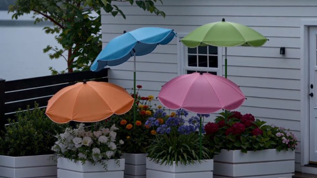 Amazon.com : MJZ 2 Pack Large Plant Umbrellas for Outdoor Plants