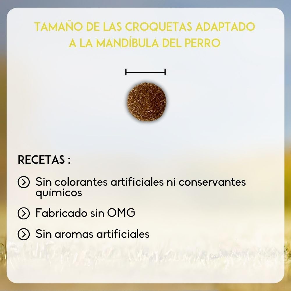 NUTRIVET - Premium Master Junior - Croquetas para Cachorros con Actividad Normal - Pollo y arroz - 15kg