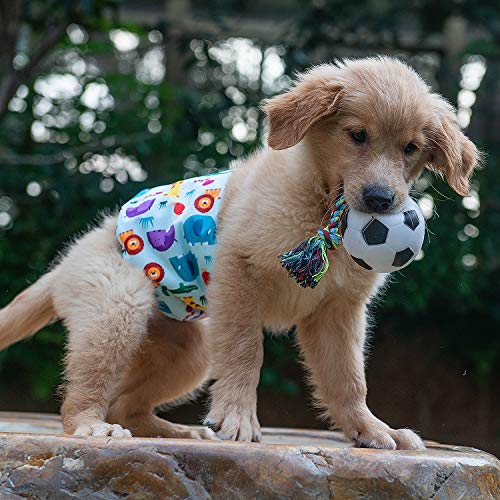 cutebone dog diapers