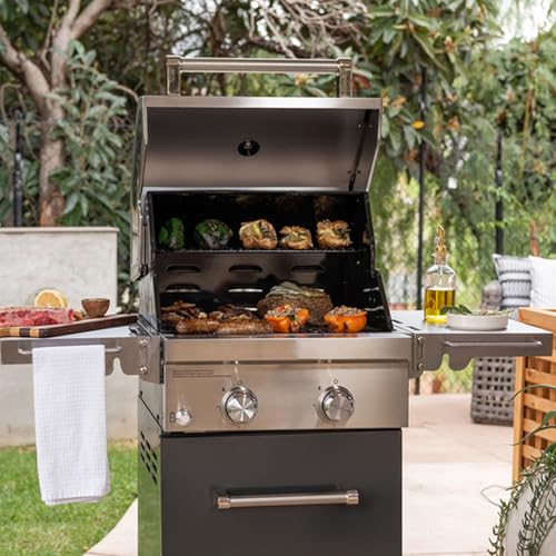Image of Replacement Kit for Kitchen Aid 2-Burner Gas Grill 720-0819 720-0819G