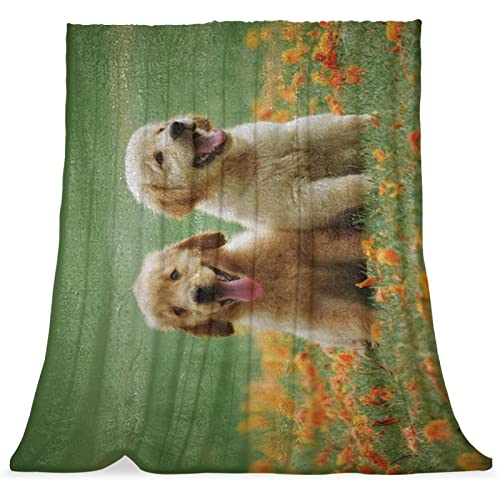 Couvre-lit chien retriever d'or TBOUOBT couverture douce pour lit - 2