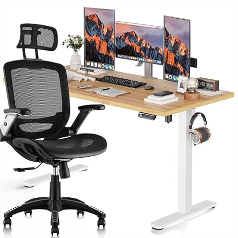 GABRYLLY Ergonomic Office Chair and Adjustable Standing Desk-55x24inches, Stable Office Combination for Home Office Student Cover