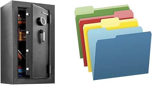 SentrySafe Carpetas de archivos de color de dos tonos de acero ignífugas e impermeables, tamaño carta, colores surtidos (verde brillante, amarillo,