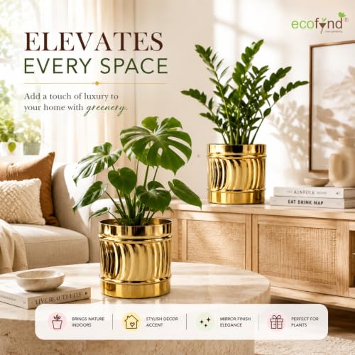 Image of ecofynd 2 Pack Metal Plant Pots (6 inch, 7 inch L), Indoor Small Planter Flower Pots, Home Garden Decor Planter for Living Room Bedroom Interior (Gold Finish, POT050)