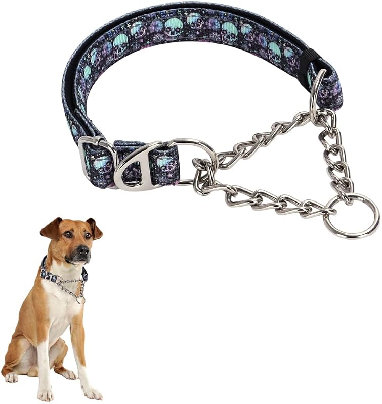 Coleira Martingale para Cães com Corrente de Aço Inoxidável HimyBB Skull L