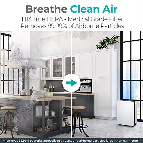 Alen Fit50 Hepa Air Purifier, Medical Grade Filtration H13 True Hepa For 900 Sqft, 99.9% Airborne Particle Removal, Air Purifier For Allergens, Dust, Mold, Pet Odors, Smoke, And Vocs (White) #TOP1