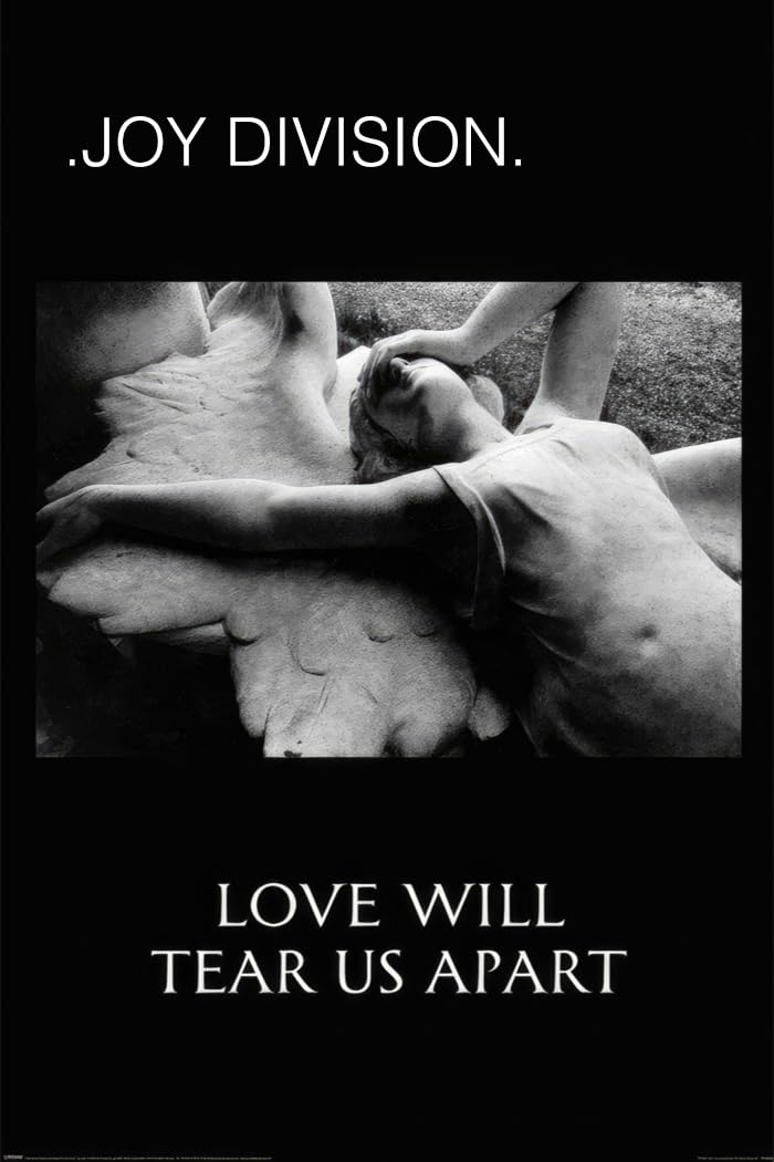 Amazon.com: Joy Division - Music Poster (Love Will Tear Us Apart