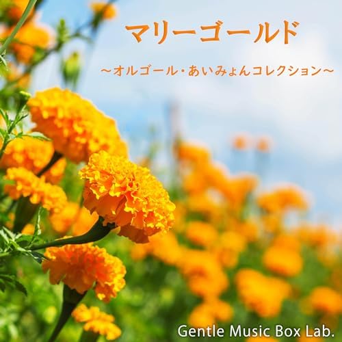 新品50弁最新あいみょん♪マリーゴ～♪愛の花♪裸の心オルフェウス520オルゴール 裸の心 あいみょん あいみょん/ マリーゴールド あいみょん あい