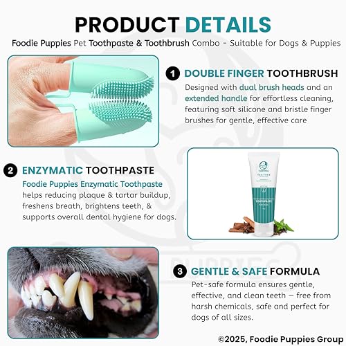 Image of Foodie Puppies Dental Care Kit for Dogs and Cats - (Couple Toothbrush & Tea Tree Toothpaste, 100gm) | Tartar Control Enzymatic Toothpaste I Soft Bristle Toothbrush for Easy Dental Care of Small Pets