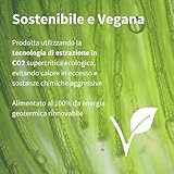 Igennus Healthcare Nutrition B07BGHKG77 lato 4