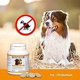 DIA TAB Kautabletten f.Hunde/Katzen 6X5.5 g