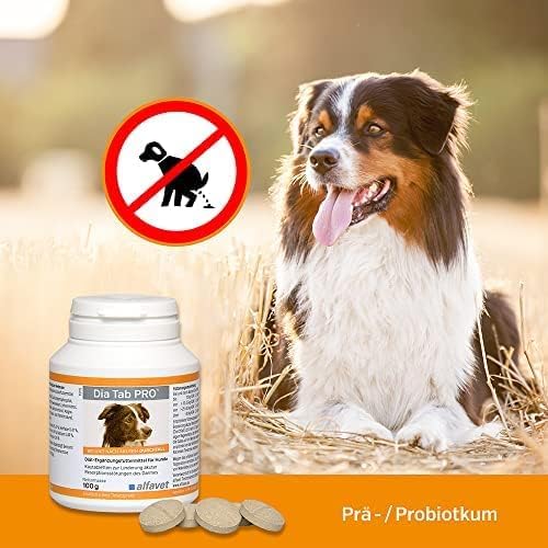 DIA TAB Kautabletten f.Hunde/Katzen 6X5.5 g
