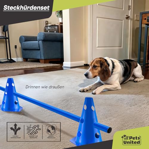 all Pets United® Accesorios de Entrenamiento de Agilidad para Perros y Caballos; Juego de obstáculos con Barra y Conos Estable y Resistente para Entrenamiento de Animales y fútbol (1 Set) - imagen 3