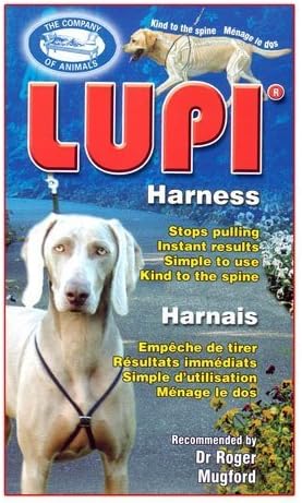 Lupi Dog Harness:M