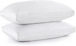 Puredown® Goose Feather Down Pillows, Bed Pillows for Sleeping, Hotel Pillows Queen Size 2 Pack with 100% Cotton Cover (Blue Edge, Queen)