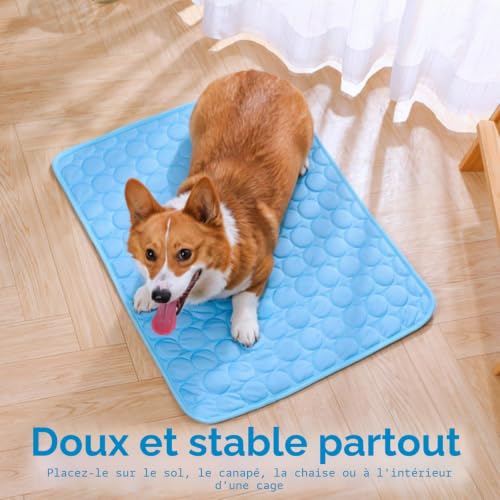 Tapis Rafraîchissant Chat Chien, Fraicheur Auto-Refroidissante (70x55cm, L) – vue 2