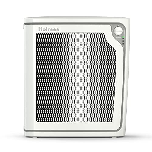 Holmes HAP8650B True HEPA Slim Console