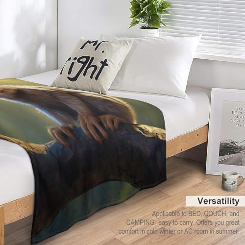 Couverture polaire singe plaid chaud pour soirées cocooning canapé
