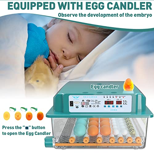 Foto von Brutautomat Vollautomatisch Inkubator Hühner Brutkasten Hühner mit Automatischem Rotationssystem und Temperaturkontrolle,Egg Incubator Brutmaschine für 36 Eier (36)