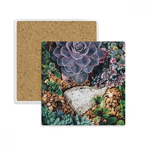 Porte-pierre absorbent de boissons avec motif fleur science nature géométrique - 2