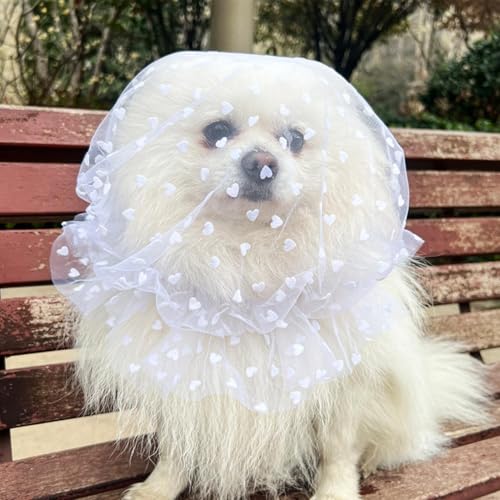 Filet de tête en maille pour chien chat x4 réglable anti ramassage