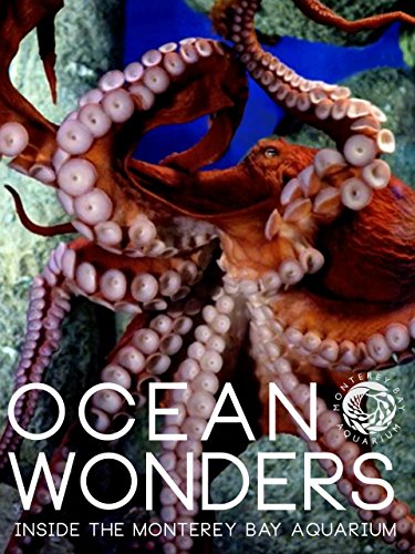Ocean Wonders: Inside the Monterey Bay Aquarium