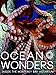 Ocean Wonders: Inside the Monterey Bay Aquarium