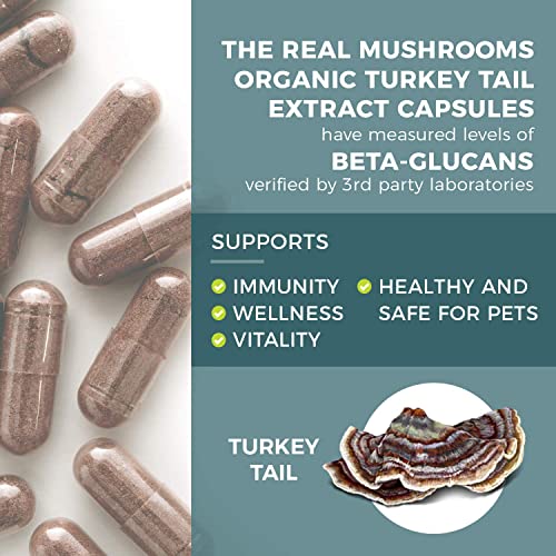 Real Mushrooms Turkey Tail For Humans (90Ct) & Mushroom Pet Relax Chews (60 Chews) - Bundle For Immunity & Relaxation - Vegan, Non-Gmo, Gluten-Free, Grain-Free Mushroom Extract Supplements #TOP2