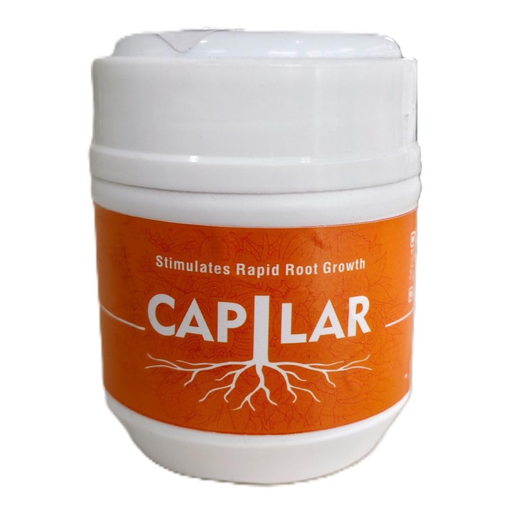 capilar 50gm | Rooting Hormone Powder| Promote Fast Root Growth from Plant Cuttings & Grafting | All Purpose Plant Growth Nutrition-image-24