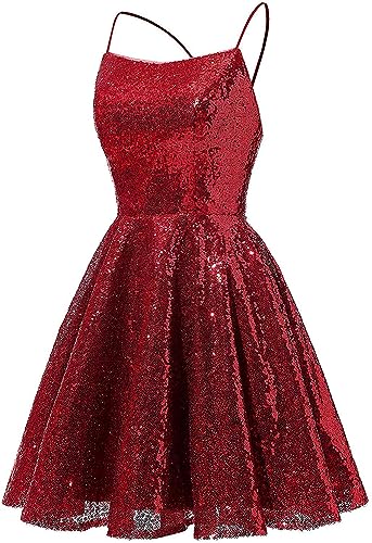Homecoming Dresses for Teens Girls Sequin Prom Dress Spaghetti Cocktail Dress Short Fit Flare Dresses4