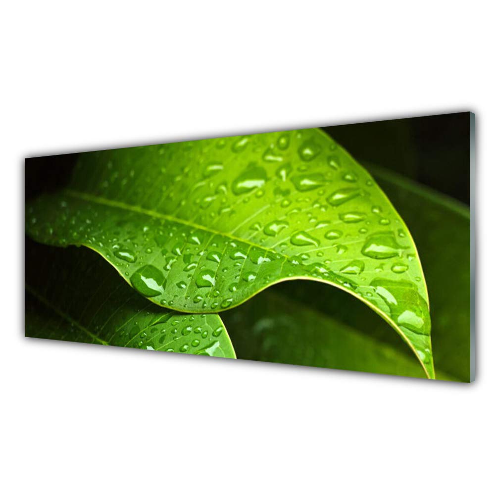 Impression sur verre trempé Tulup 125x50cm au design haut de gamme pour intérieur
