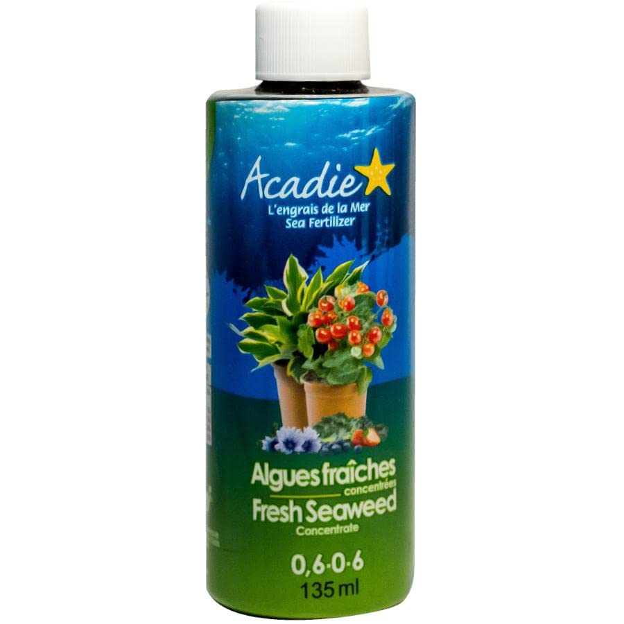 ACADIE Concentrado de algas frescas - 4.6 fl oz